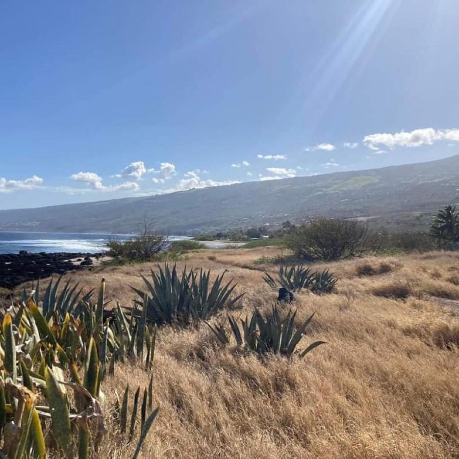 Location Saisonniere Meublee F2 St Leu Face Ocean A 1 Min Plage Leilighet Saint-Leu Eksteriør bilde