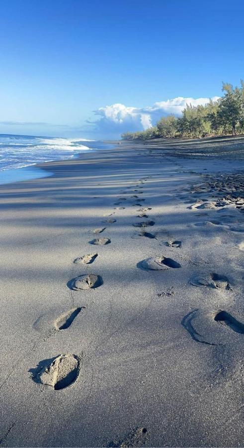 Location Saisonniere Meublee F2 St Leu Face Ocean A 1 Min Plage Leilighet Saint-Leu Eksteriør bilde